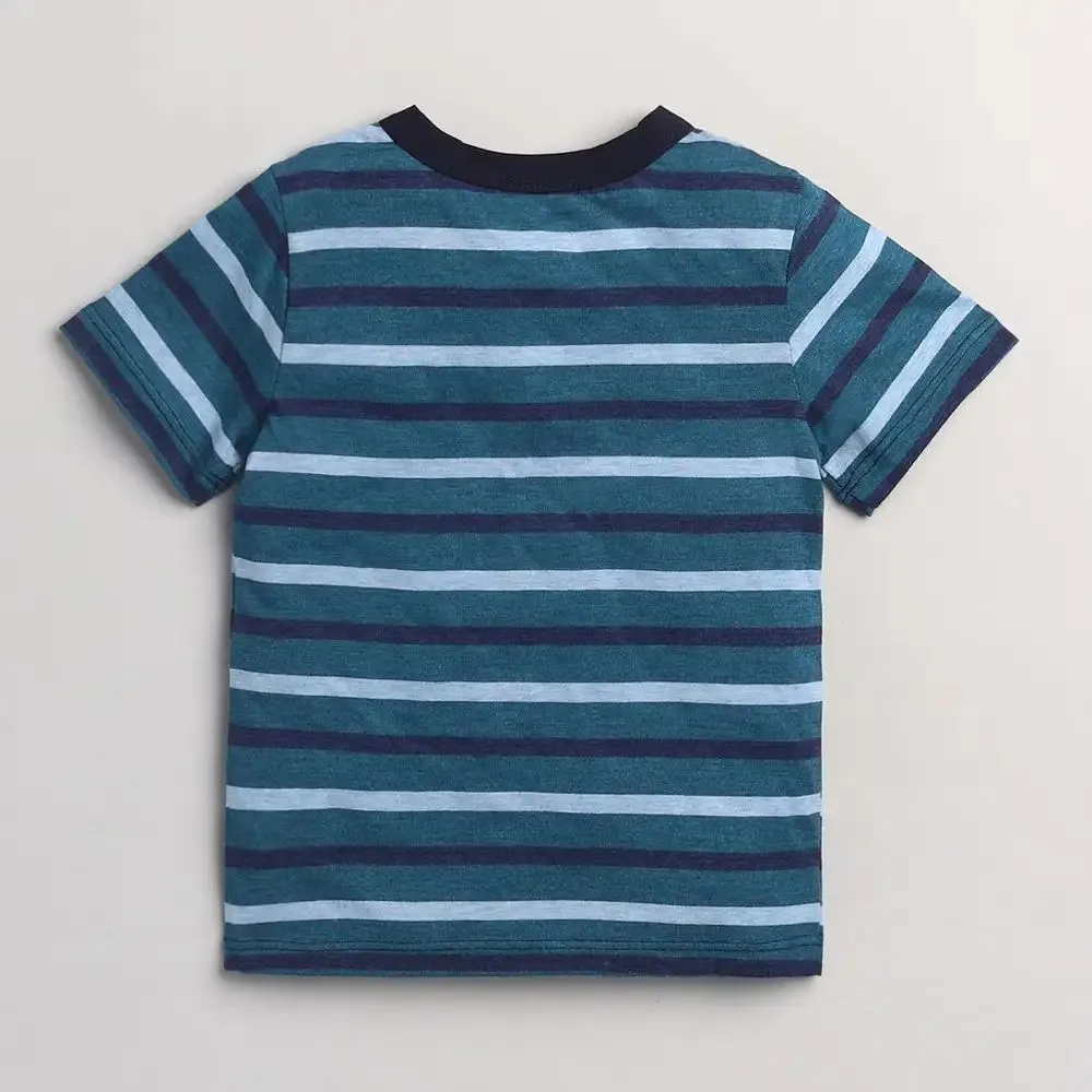 Striped Printed Tshirt - Blue