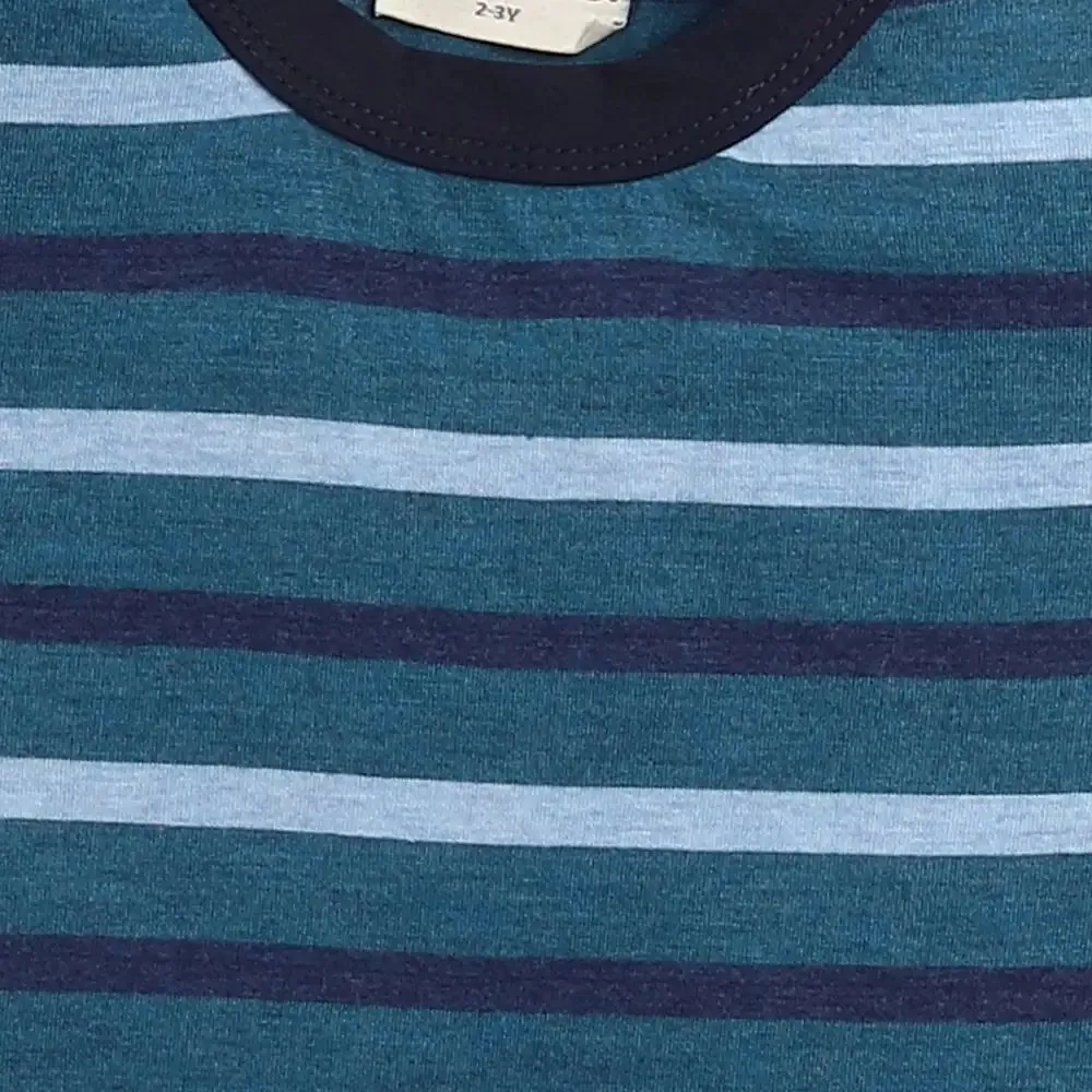 Striped Printed Tshirt - Blue
